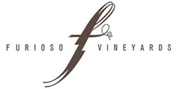 furioso logo